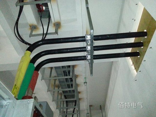 管形午夜成人无码