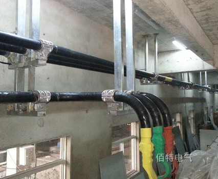 铜管午夜成人无码