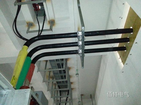 管型午夜成人无码