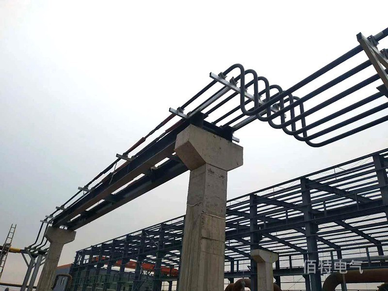 管形午夜成人无码